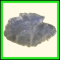 chlchr_1127_b_003