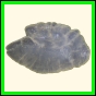 chlchr_1129_a_001