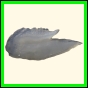 chlchr_1132_a_002