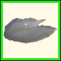 chlchr_1133_b_002