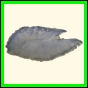 chlchr_1134_a_002