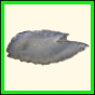 chlchr_1135_a_002