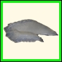 chlchr_1260_b_002