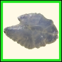 chlchr_1315_a_001