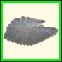 chlchr_1480_a_002