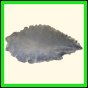 chlchr_1483_b_001