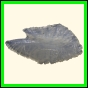 chlchr_1484_a_001
