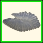 chlchr_1485_a_001