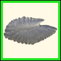 chlchr_1485_b_002