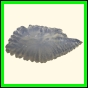 chlchr_1498_a_001