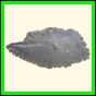 chlchr_1498_b_002