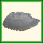 chlchr_1499_a_001