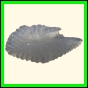 chlchr_1506_b_002