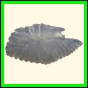 chlchr_1507_b_001