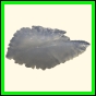 chlchr_1764_a_001