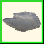 chlchr_1764_b_002