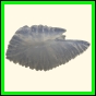 chlchr_1848_a_002