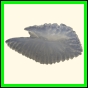 chlchr_1848_b_001