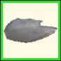 chlchr_1849_b_001