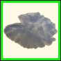 chlchr_1909_a_002