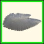 chlchr_1911_a_001