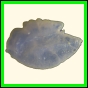 chlchr_328_l_004