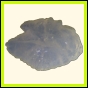 chlchr_329_r_002