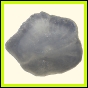citmac_2180_b_001