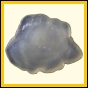 citspi_1285_b_003