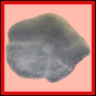 citspi_1857_b_002