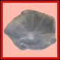 citspi_1858_a_001