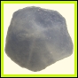 citspi_1859_b_003