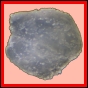 citspi_275_b_002
