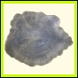 citspi_278_a_003