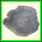 citspi_282_a_002