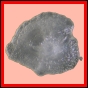 citspi_797_a_002