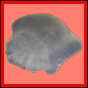 citspp_2170_a_001