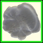 ctebol_2388_b_002