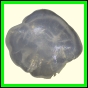 ctebol_866_b_002