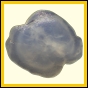 ctebol_874_b_002