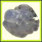 ctebol_876_a_002