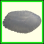 cynare_1999_b_001