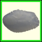cynare_2000_a_001