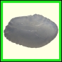 cynare_2000_b_001