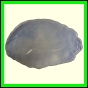 cynare_350_l_003