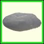 cynneb_1725_b_001