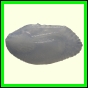 cynneb_1726_a_001