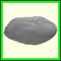 cynneb_1726_b_001
