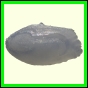cynneb_1728_b_002
