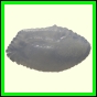 cynneb_1729_a_001